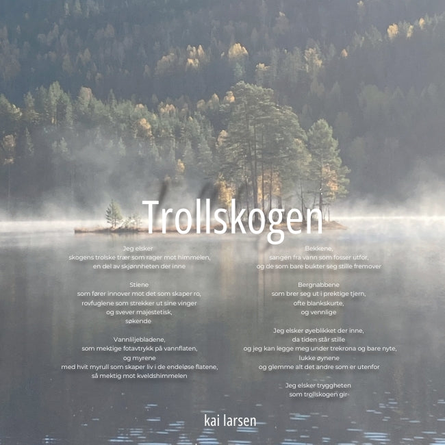 Turer i Aurskog-Høland (Turbok)